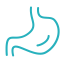 Internal Organ (Stomach) Icon, stomach,internal organ,digestion