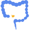 Colorectal Department Icon, colorectal,intestines,medical