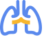Respiratory Medicine Department Icon, lungs,medical,respiratory