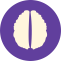 Brain Icon, anatomy,brain,neurology