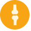 Joint Icon, joint,anatomy,orthopedics