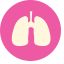 Lung Icon, lung,respiratory,anatomy