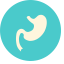 Stomach Icon, stomach,digestive,anatomy
