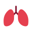Lung Icon, lung,respiratory