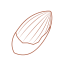 Almond Nut Icon, almond,nut