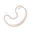 Cashew Nut Icon, cashew,nut
