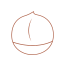Macadamia Nut Icon, macadamia,nut