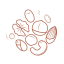 Nut Combination Icon, nut combination,nut