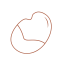 Orchid Bean Icon, orchid bean,nut
