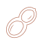 Peanut Icon, nut,peanut