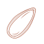 Sunflower Seed Icon, sunflower seed,nut