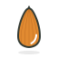 Almond Nut Icon, almond,nut