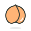 Apricot Fruit Icon, apricot,fruit