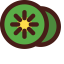 Kiwi Icon, fruit,kiwi