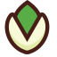 Pistachio Icon, pistachio,nut