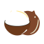 Coconut - like Snack Icon, coconut,snack