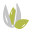 Leaf Icon, food,leaf