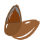 Nut Icon, nut,snack