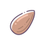 Almond Kernel Icon, almond,nut