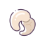 Cashew Nut Icon, cashew,nut