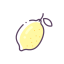 Dried Lemon Icon, dried lemon,dried fruit