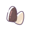 Open Pine Nut Icon, nut,pine nut