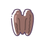 Pecan Kernel Icon, nut,pecan