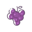 Raisin Icon, dried fruit,raisin