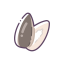Sunflower Seed Icon, seed,sunflower seed