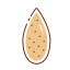 Almond Icon, almond,nut