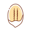 Pecan Icon, nut,pecan