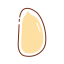 Pine Nut Icon, pine nut,nut