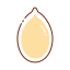 Pumpkin Seed Icon, pumpkin seed,seed