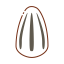 Sunflower Seed Icon, seed,sunflower seed