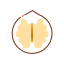 Walnut Icon, nut,walnut