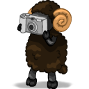 Photographer Icon, Photographer,Aries,Animal