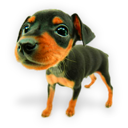 Puppy 7 Icon, Puppy 7,Dogs N Puppies,Animal