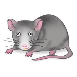 IChoo Icon, IChoo,Kookie Bytes,Animal
