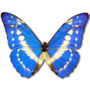 Morpho Cypres Icon, Morpho Cypres,Morpho Butterfly,Animal