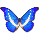 Morpho Helena Icon, Morpho Helena,Morpho Butterfly,Animal