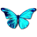 Rhetenor Morpho Icon, Rhetenor Morpho,Morpho Butterfly,Animal