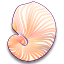 Argonauta argo Icon, Argonauta argo,Sea Shells,Animal,