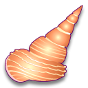 Littorina scabra angulifera 1 Icon, Littorina scabra angulifera 1,Sea Shells,Animal,