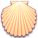 Patinopecten caurinus Icon, Patinopecten caurinus,Sea Shells,Animal,