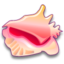 Strombus gigas Icon, Strombus gigas,Sea Shells,Animal,