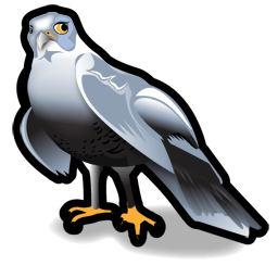 Hawk Icon, Hawk,Stroke Animals,Animal