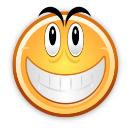 smile lol Icon, smile lol,Real Vista Communications,Business
