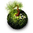 Kokedama moss ball Icon, Kokedama moss ball,Yoritsuki,Culture
