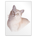 gf Icon, gf,Crystal Project Mimetypes,File Type,