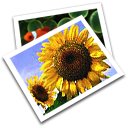 Pictures Icon, Pictures,Cats 2,Folder